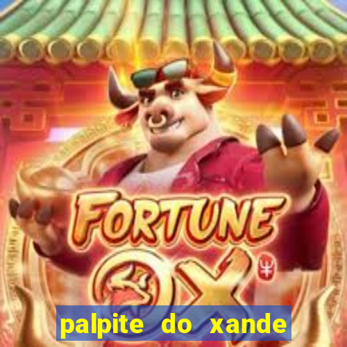 palpite do xande de hoje